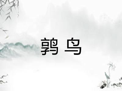 鹑鸟