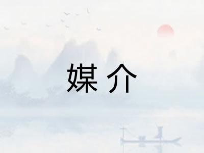 媒介