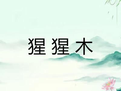 猩猩木