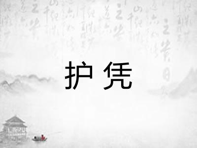 护凭