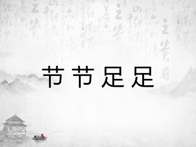 节节足足