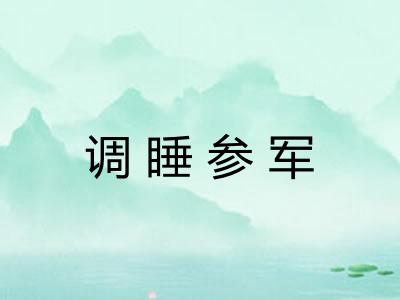 调睡参军