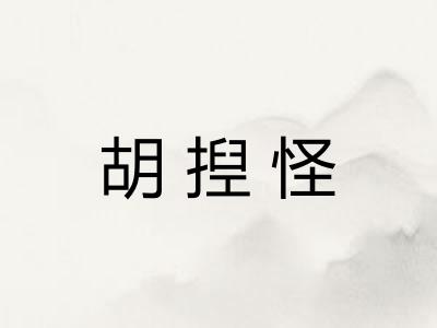 胡揑怪