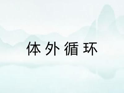 体外循环