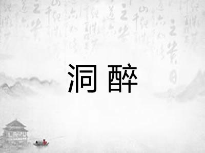 洞醉