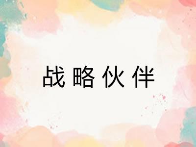 战略伙伴