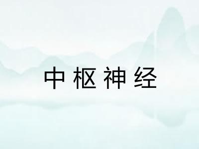 中枢神经
