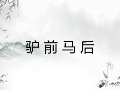 驴前马后