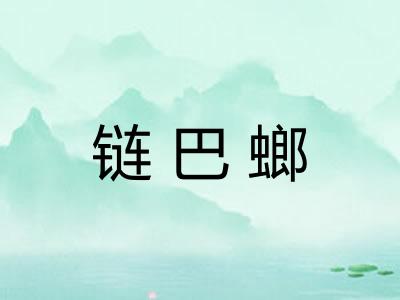链巴螂