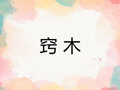 窍木