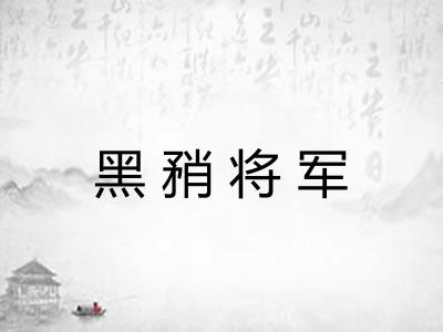 黑矟将军