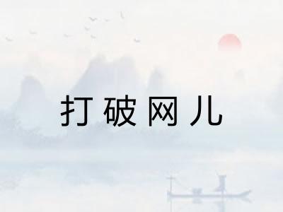 打破网儿