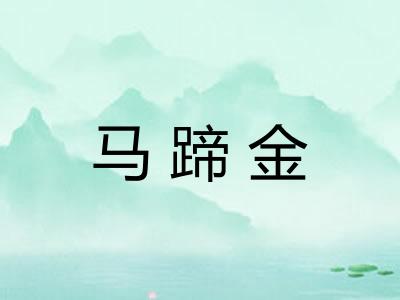 马蹄金
