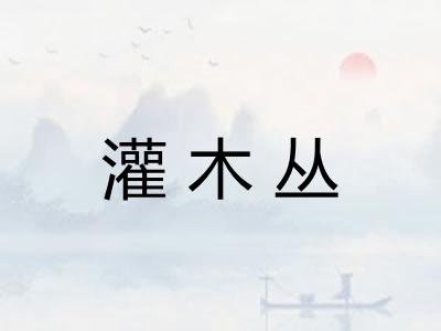 灌木丛