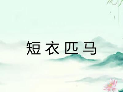 短衣匹马