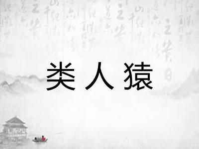 类人猿