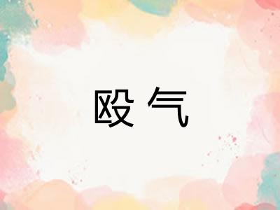 殴气
