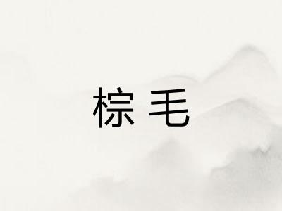 棕毛