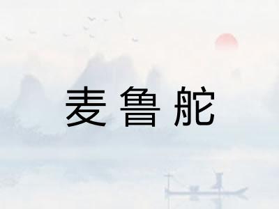 麦鲁舵