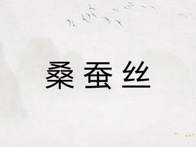 桑蚕丝