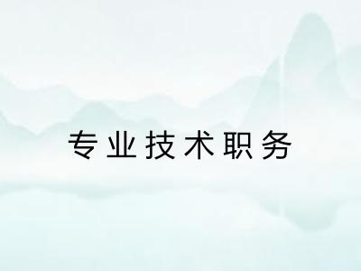 专业技术职务
