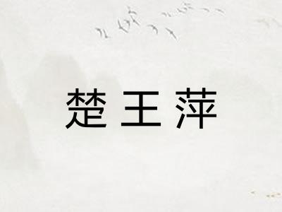 楚王萍
