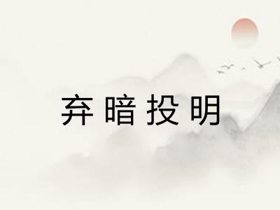 弃暗投明