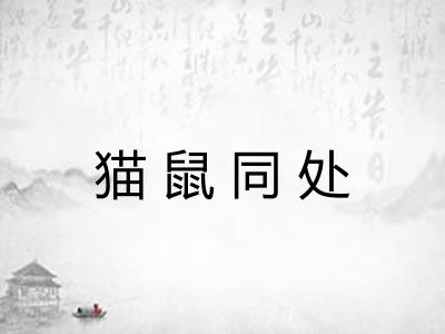 猫鼠同处