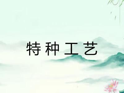 特种工艺