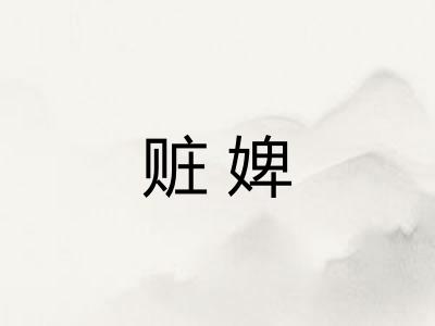 赃婢