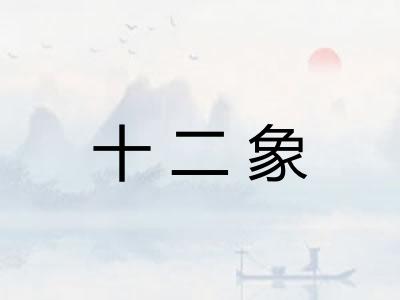 十二象