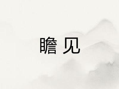 瞻见