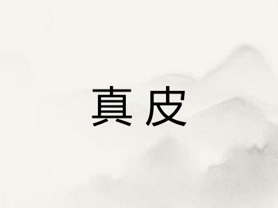 真皮
