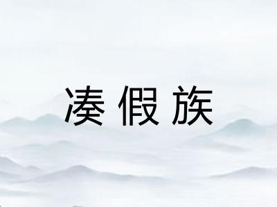 凑假族