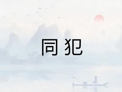 同犯
