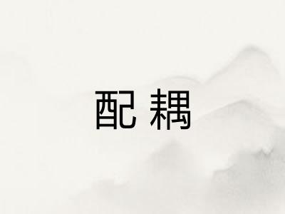 配耦