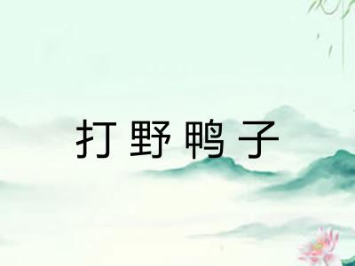 打野鸭子