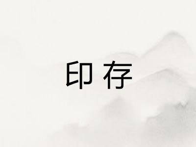 印存