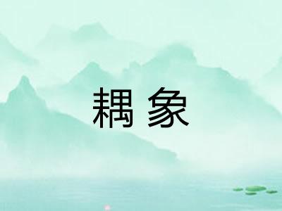 耦象