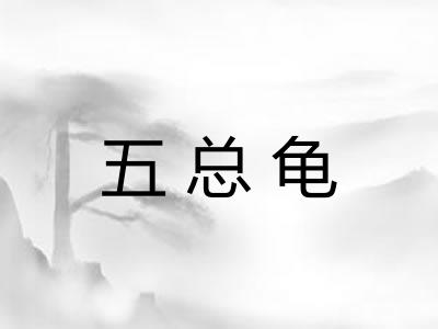 五总龟