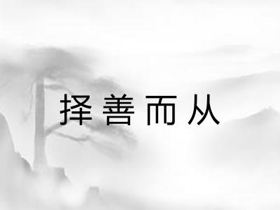 择善而从