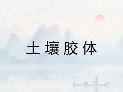 土壤胶体