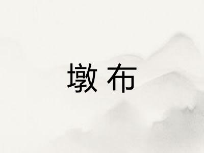 墩布