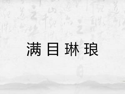 满目琳琅
