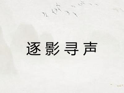 逐影寻声