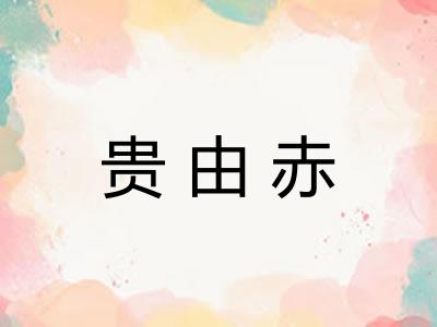 贵由赤