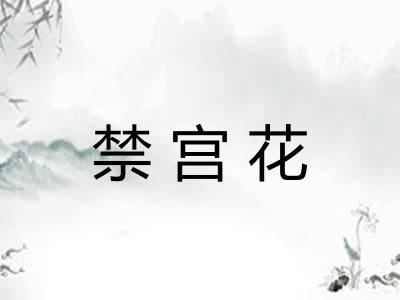 禁宫花
