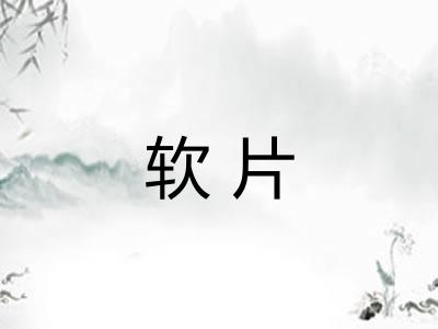 软片