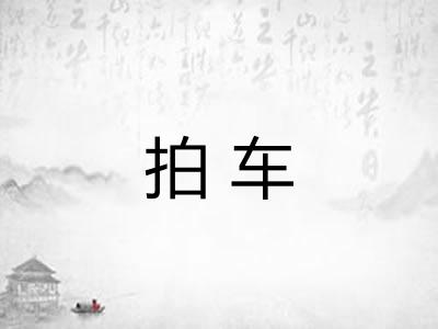拍车