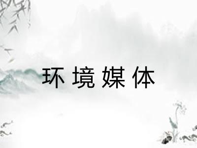 环境媒体